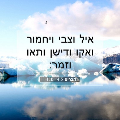 Picture 07 - דברים 14:5 HEB - איל וצבי ויחמור ואקו ודישן - Bible Verse Picture