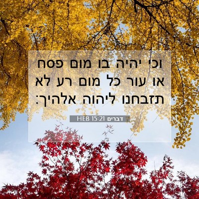 Picture 07 - דברים 15:21 HEB - וכי יהיה בו מום פסח או עור - Bible Verse Picture