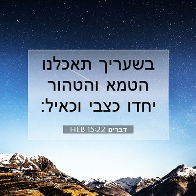 Picture 07 - דברים 15:22 HEB - בשעריך תאכלנו הטמא והטהור - Bible Verse Picture