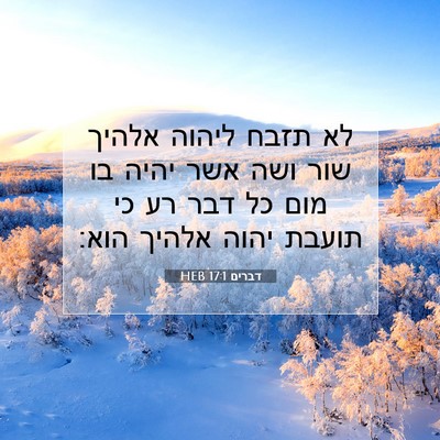 Picture 07 - דברים 17:1 HEB - לא תזבח ליהוה אלהיך שור ושה - Bible Verse Picture