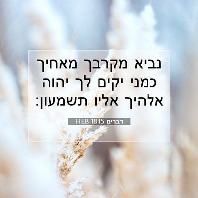 Picture 07 - דברים 18:15 HEB - נביא מקרבך מאחיך כמני יקים - Bible Verse Picture