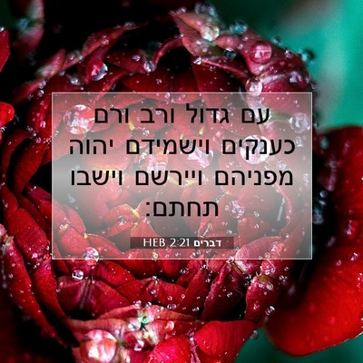 Picture 07 - דברים 2:21 HEB - עם גדול ורב ורם כענקים - Bible Verse Picture