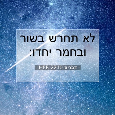 Picture 07 - דברים 22:10 HEB - לא תחרש בשור ובחמר - Bible Verse Picture
