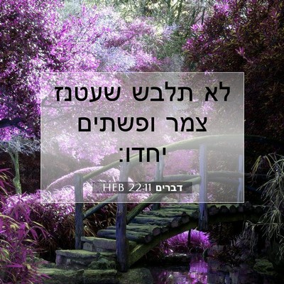 Picture 07 - דברים 22:11 HEB - לא תלבש שעטנז צמר ופשתים - Bible Verse Picture