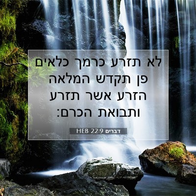 Picture 07 - דברים 22:9 HEB - לא תזרע כרמך כלאים פן תקדש - Bible Verse Picture