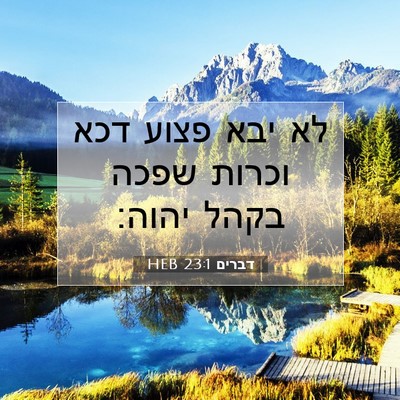 Picture 07 - דברים 23:1 HEB - לא יבא פצוע דכא וכרות שפכה - Bible Verse Picture