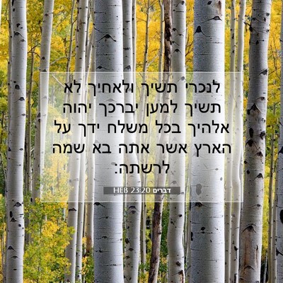 Picture 07 - דברים 23:20 HEB - לנכרי תשיך ולאחיך לא תשיך - Bible Verse Picture