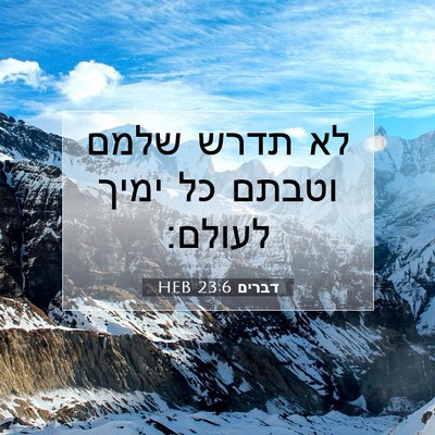 Picture 07 - דברים 23:6 HEB - לא תדרש שלמם וטבתם כל ימיך - Bible Verse Picture