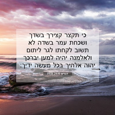 Picture 07 - דברים 24:19 HEB - כי תקצר קצירך בשדך ושכחת - Bible Verse Picture