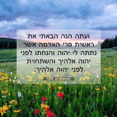Picture 07 - דברים 26:10 HEB - ועתה הנה הבאתי את ראשית פרי - Bible Verse Picture