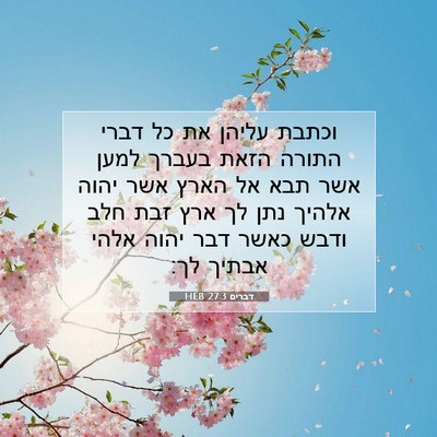 Picture 07 - דברים 27:3 HEB - וכתבת עליהן את כל דברי - Bible Verse Picture