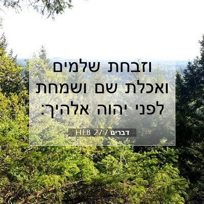 Picture 07 - דברים 27:7 HEB - וזבחת שלמים ואכלת שם ושמחת - Bible Verse Picture