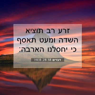 Picture 07 - דברים 28:38 HEB - זרע רב תוציא השדה ומעט תאסף - Bible Verse Picture
