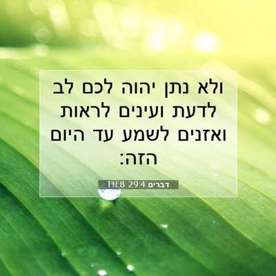 Picture 07 - דברים 29:4 HEB - ולא נתן יהוה לכם לב לדעת - Bible Verse Picture