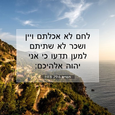 Picture 07 - דברים 29:6 HEB - לחם לא אכלתם ויין ושכר לא - Bible Verse Picture