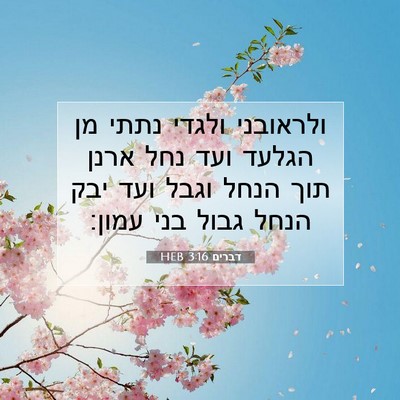 Picture 07 - דברים 3:16 HEB - ולראובני ולגדי נתתי מן - Bible Verse Picture