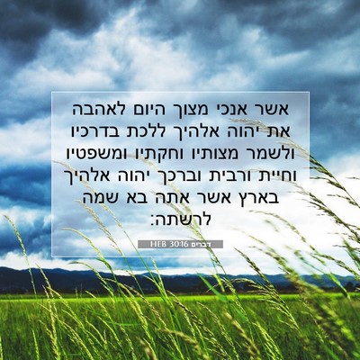 Picture 07 - דברים 30:16 HEB - אשר אנכי מצוך היום לאהבה את - Bible Verse Picture