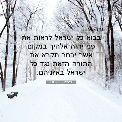 Picture 07 - דברים 31:11 HEB - בבוא כל ישראל לראות את פני - Bible Verse Picture
