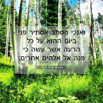 Picture 07 - דברים 31:18 HEB - ואנכי הסתר אסתיר פני ביום - Bible Verse Picture