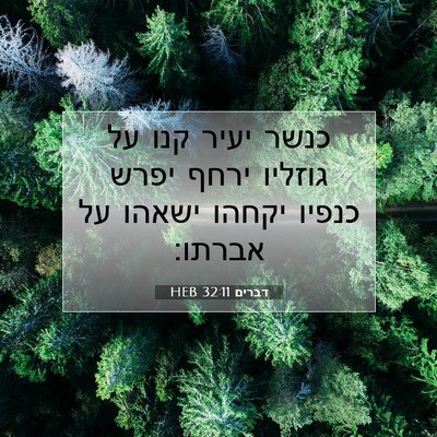 Picture 07 - דברים 32:11 HEB - כנשר יעיר קנו על גוזליו - Bible Verse Picture