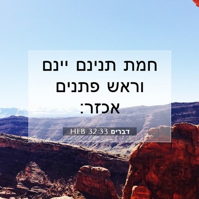 Picture 07 - דברים 32:33 HEB - חמת תנינם יינם וראש פתנים - Bible Verse Picture