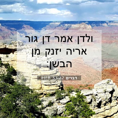 Picture 07 - דברים 33:22 HEB - ולדן אמר דן גור אריה יזנק - Bible Verse Picture