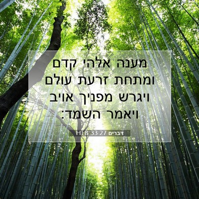 Picture 07 - דברים 33:27 HEB - מענה אלהי קדם ומתחת זרעת - Bible Verse Picture
