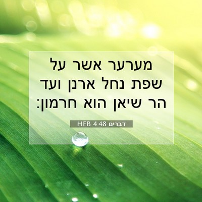 Picture 07 - דברים 4:48 HEB - מערער אשר על שפת נחל ארנן - Bible Verse Picture