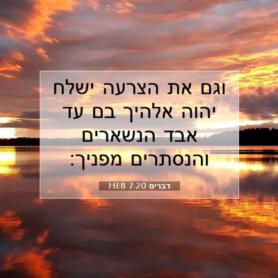 Picture 07 - דברים 7:20 HEB - וגם את הצרעה ישלח יהוה - Bible Verse Picture