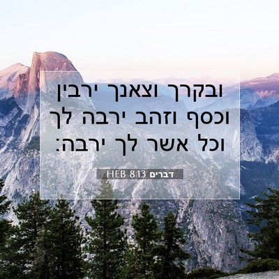 Picture 07 - דברים 8:13 HEB - ובקרך וצאנך ירבין וכסף - Bible Verse Picture