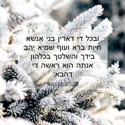 Picture 07 - דניאל 2:38 HEB - ובכל די דארין בני אנשא חיות - Bible Verse Picture