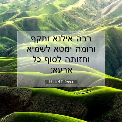 Picture 07 - דניאל 4:11 HEB - רבה אילנא ותקף ורומה ימטא - Bible Verse Picture