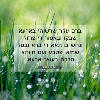 Picture 07 - דניאל 4:15 HEB - ברם עקר שרשוהי בארעא שבקו - Bible Verse Picture