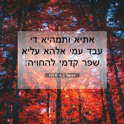 Picture 07 - דניאל 4:2 HEB - אתיא ותמהיא די עבד עמי אלהא - Bible Verse Picture
