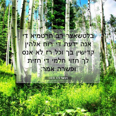 Picture 07 - דניאל 4:9 HEB - בלטשאצר רב חרטמיא די אנה - Bible Verse Picture