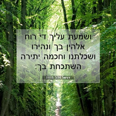 Picture 07 - דניאל 5:14 HEB - ושמעת עליך די רוח אלהין בך - Bible Verse Picture