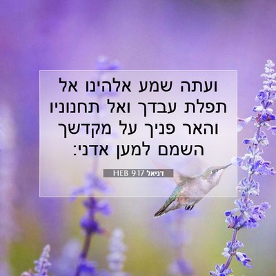 Picture 07 - דניאל 9:17 HEB - ועתה שמע אלהינו אל תפלת - Bible Verse Picture