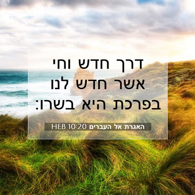 Picture 07 - האגרת אל העברים 10:20 HEB - דרך חדש וחי אשר חדש לנו - Bible Verse Picture