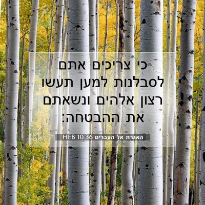 Picture 07 - האגרת אל העברים 10:36 HEB - כי צריכים אתם לסבלנות למען - Bible Verse Picture