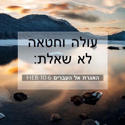 Picture 07 - האגרת אל העברים 10:6 HEB - עולה וחטאה לא - Bible Verse Picture