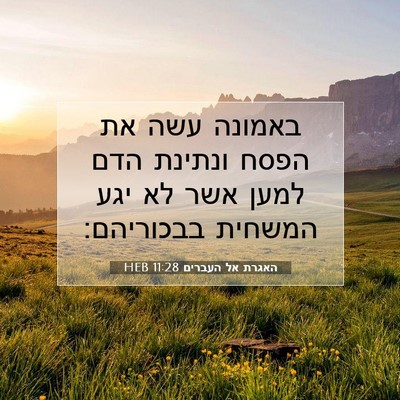 Picture 07 - האגרת אל העברים 11:28 HEB - באמונה עשה את הפסח ונתינת - Bible Verse Picture