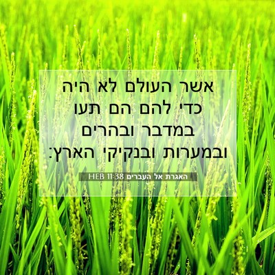Picture 07 - האגרת אל העברים 11:38 HEB - אשר העולם לא היה כדי להם הם - Bible Verse Picture