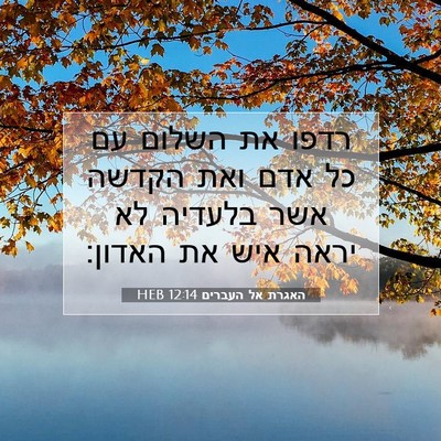 Picture 07 - האגרת אל העברים 12:14 HEB - רדפו את השלום עם כל אדם ואת - Bible Verse Picture
