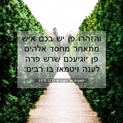 Picture 07 - האגרת אל העברים 12:15 HEB - והזהרו פן יש בכם איש מתאחר - Bible Verse Picture