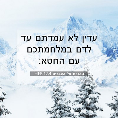 Picture 07 - האגרת אל העברים 12:4 HEB - עדין לא עמדתם עד לדם - Bible Verse Picture