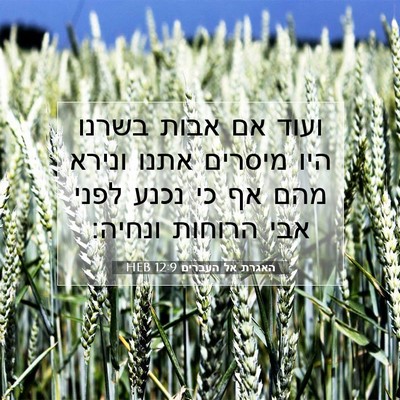 Picture 07 - האגרת אל העברים 12:9 HEB - ועוד אם אבות בשרנו היו - Bible Verse Picture