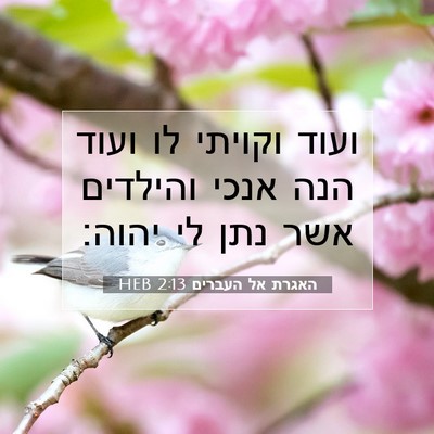 Picture 07 - האגרת אל העברים 2:13 HEB - ועוד וקויתי לו ועוד הנה - Bible Verse Picture