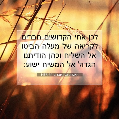 Picture 07 - האגרת אל העברים 3:1 HEB - לכן אחי הקדושים חברים - Bible Verse Picture
