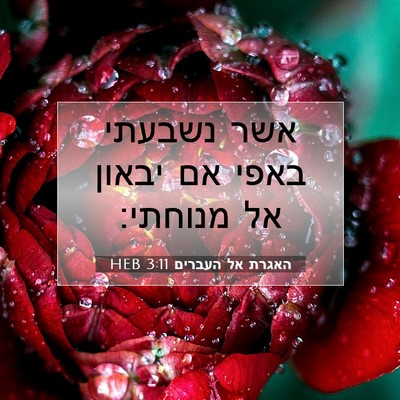 Picture 07 - האגרת אל העברים 3:11 HEB - אשר נשבעתי באפי אם יבאון אל - Bible Verse Picture