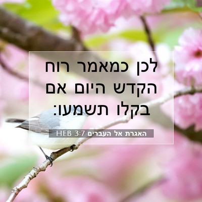 Picture 07 - האגרת אל העברים 3:7 HEB - לכן כמאמר רוח הקדש היום אם - Bible Verse Picture